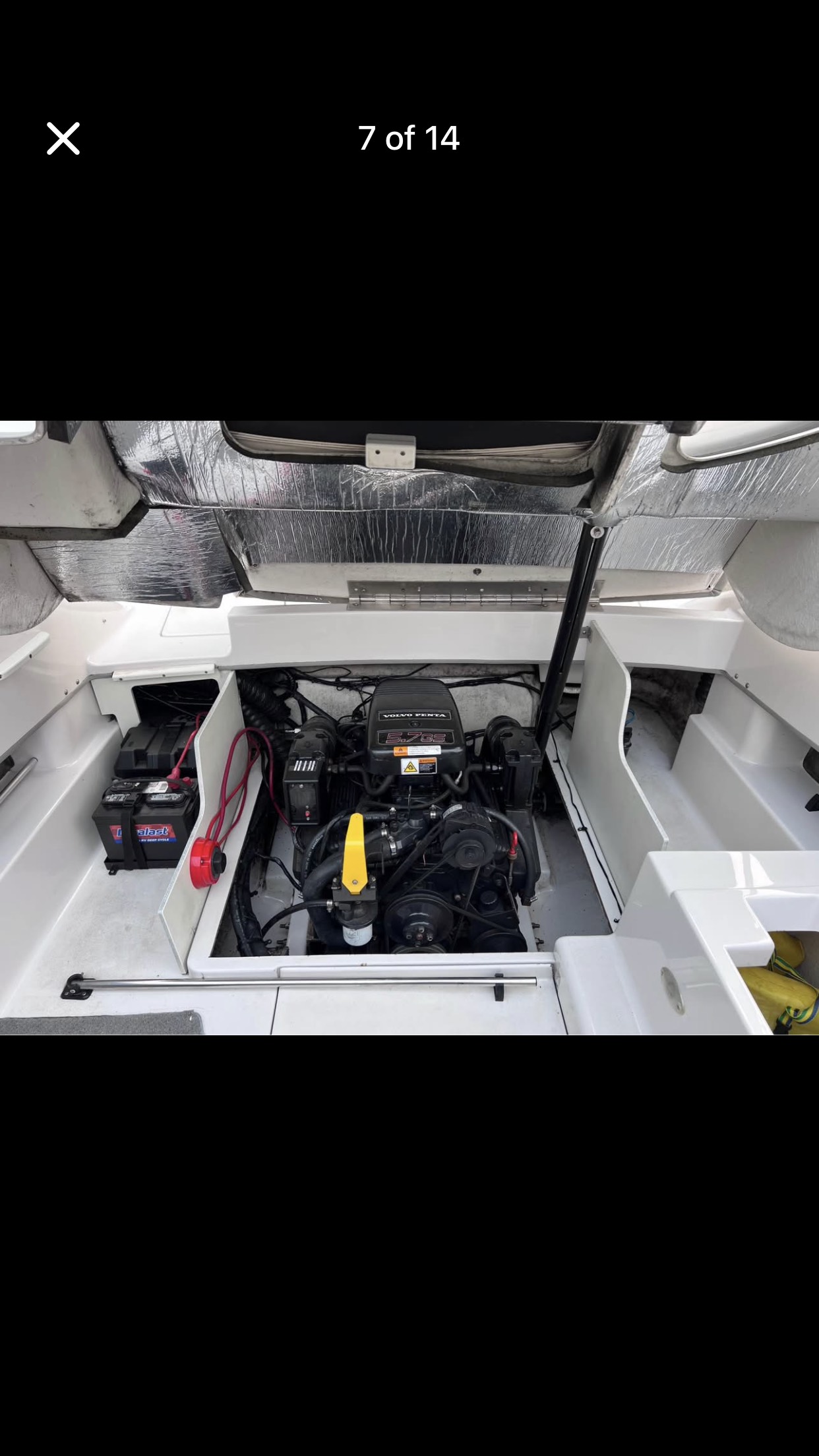 golden glow golden glow