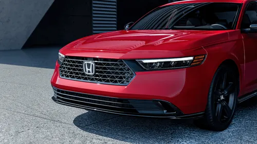 starlight succulent starlight succulent